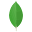 MongoDB