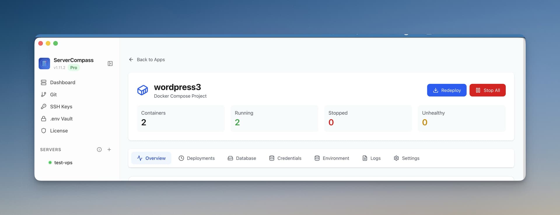 Self-hosted PaaS platform dashboard showing container status