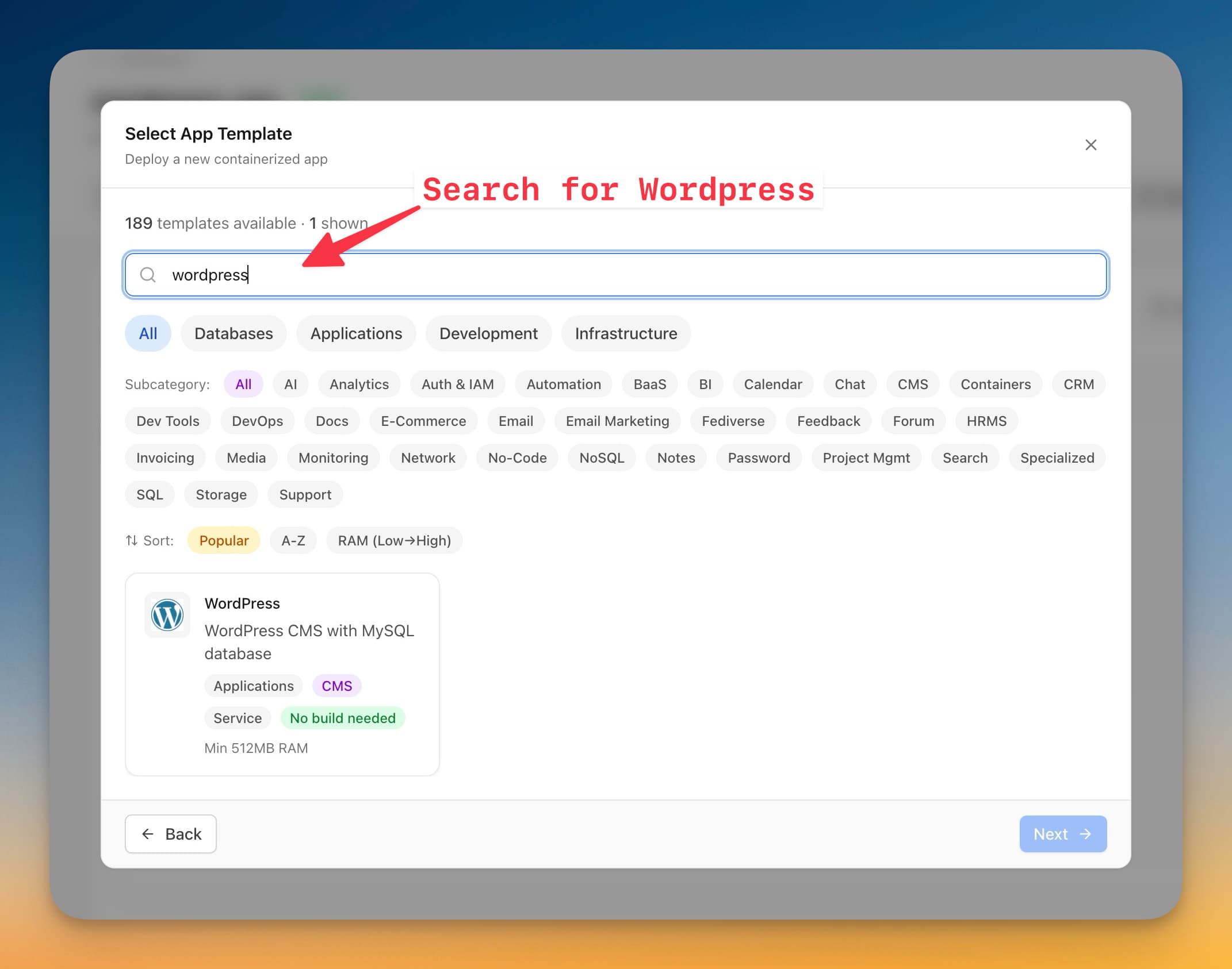 Search for WordPress template