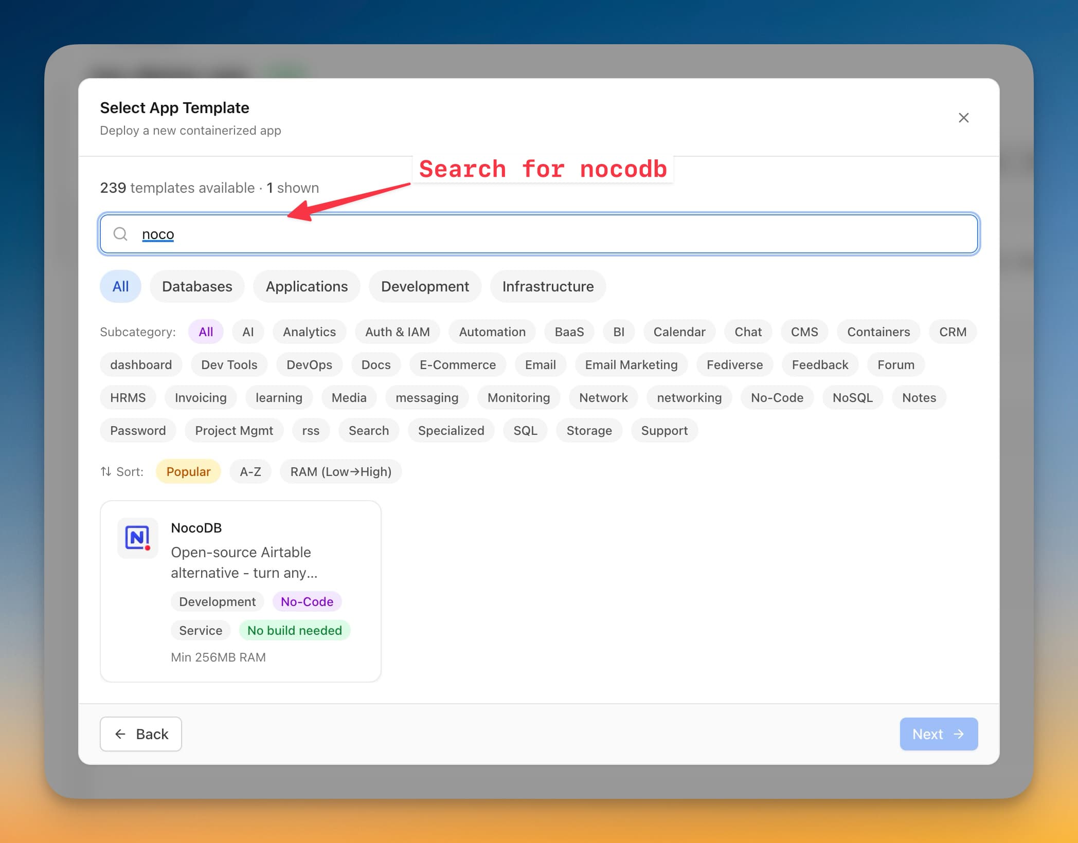 Search for NocoDB template