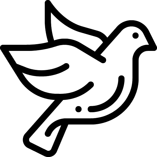 Cryptgeon logo