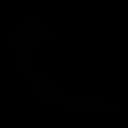 Flask logo
